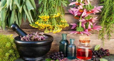 بسته‌بندی بهداشتی و استاندارد